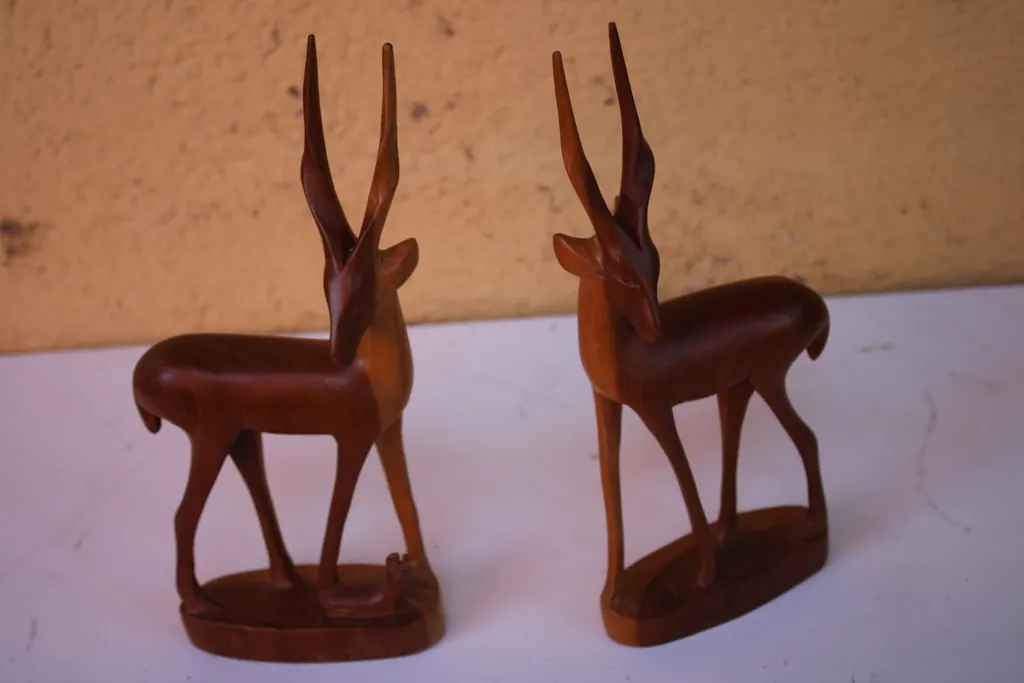Antilopes avant