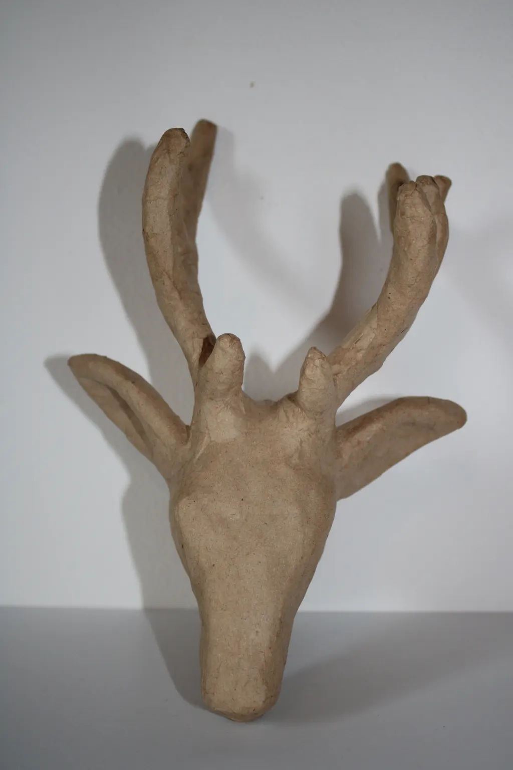 Cerf trophée avant — carton brut