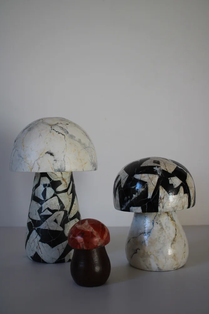Champignons en marbre