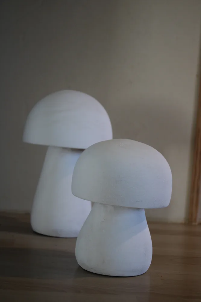 Champignons avant