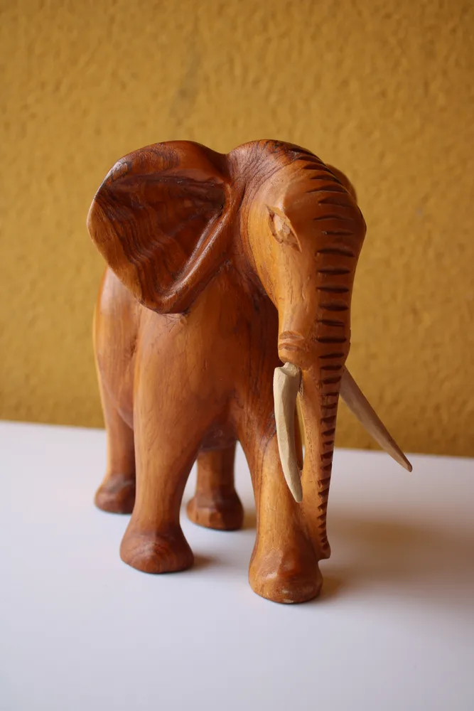 Éléphant bois brut